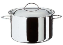 Spring Cristal Kookpan Met Deksel ø 20 Cm Rvs Glans