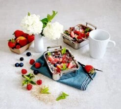 Cristel Mini Braadslede 12 X 10 Cm Rvs 10 Cristel Mini Braadslede 12 X 10 Cm Rvs -Thuiskeuken 4 md clafoutisminiplat