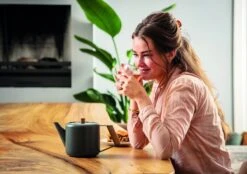 Bredemeijer Duet Design Boston Theepot 1,1 Liter Grijs -Thuiskeuken bredemeijer duet design boston theepot 1 1 liter grijs 3