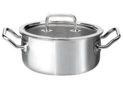 Spring Brigade Braadpan Met Glasdeksel ø 20 Cm Rvs