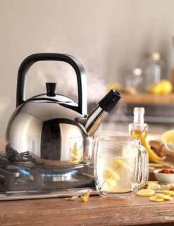 Zwilling Plus Fluitketel Rond 1,6 Liter Rvs -Thuiskeuken zwilling plus fluitketel rond 1 5 liter rvs